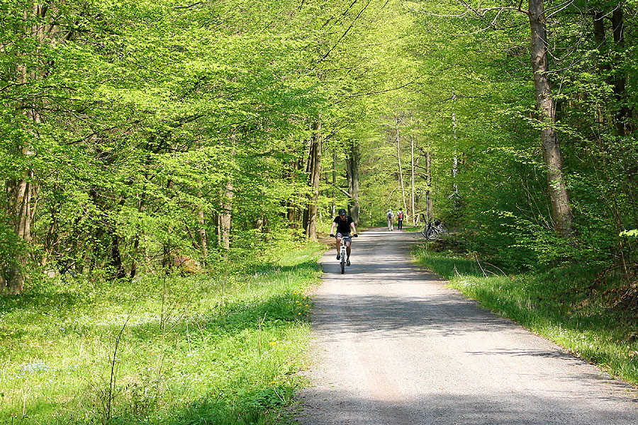 Auf dem Schwarzatalradweg