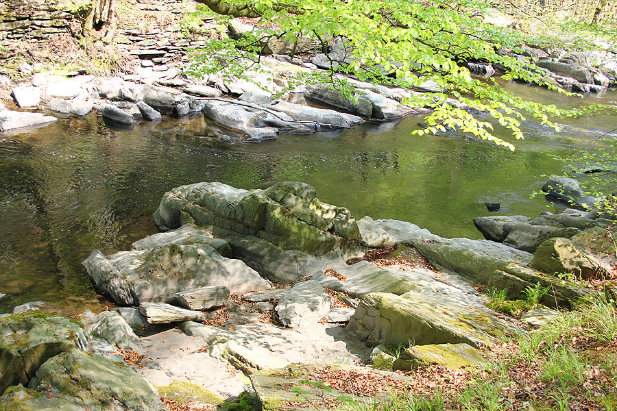 Im Schwarzatal